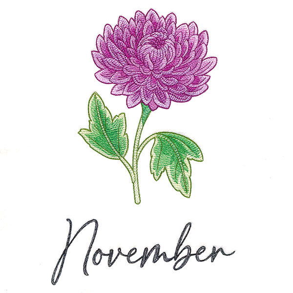 Flowers of the Year - November