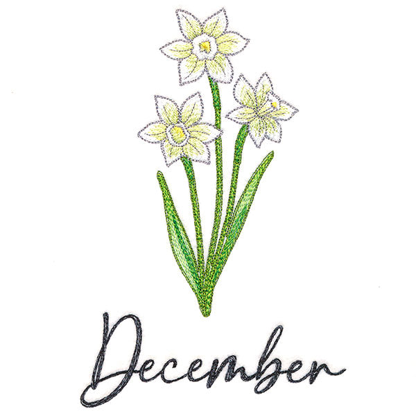 Flowers of the Year - December