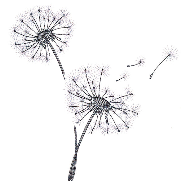 Never Stop Wishing Bouquet