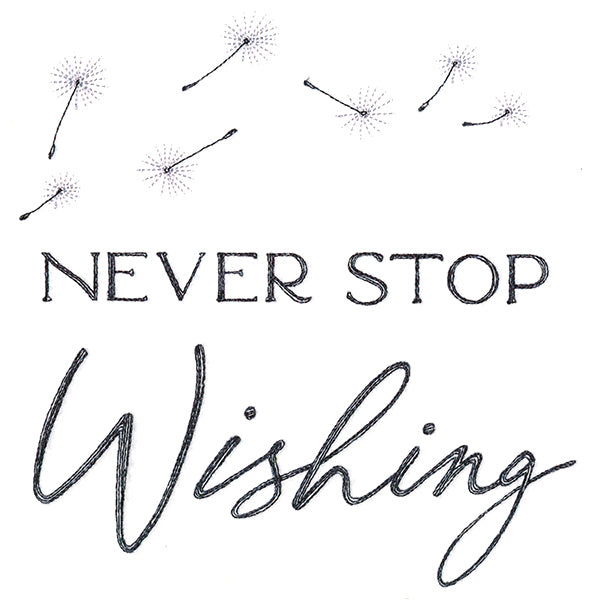 Never Stop Wishing