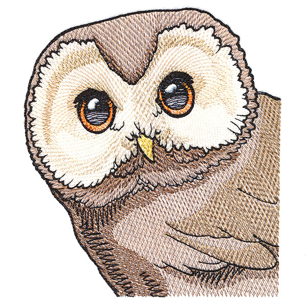 Wise Peeking Owl