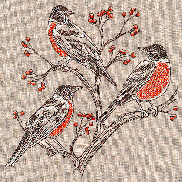 Resting Robins Trio