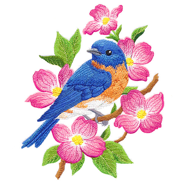 Beautiful Bluebird in Blooms