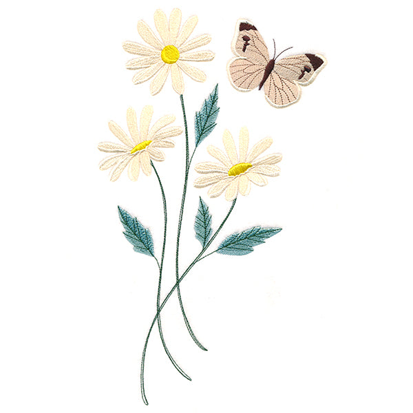 Lovely Cabbage White Butterfly in Daisies