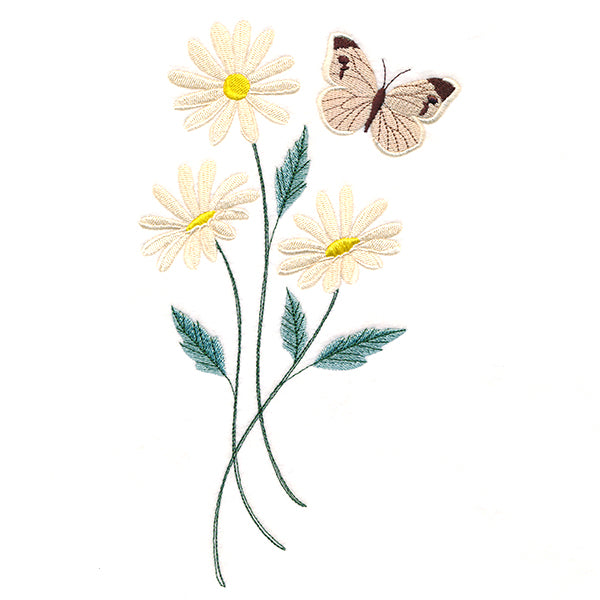 Lovely Cabbage White Butterfly in Daisies