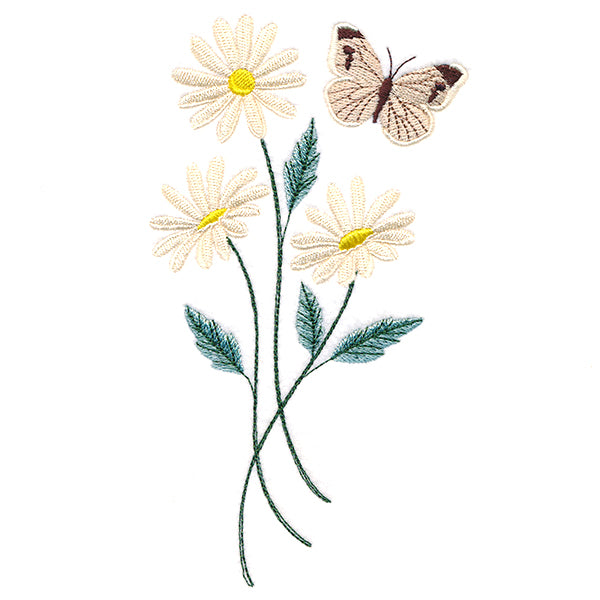 Lovely Cabbage White Butterfly in Daisies