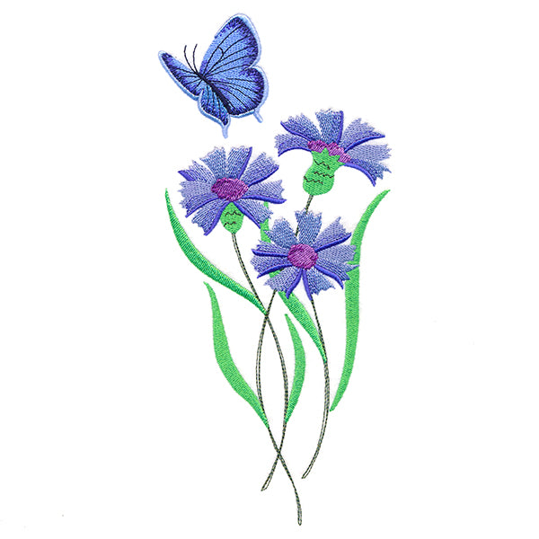 Delicate Eastern Tailed Blue Butterfly in Coneflowers