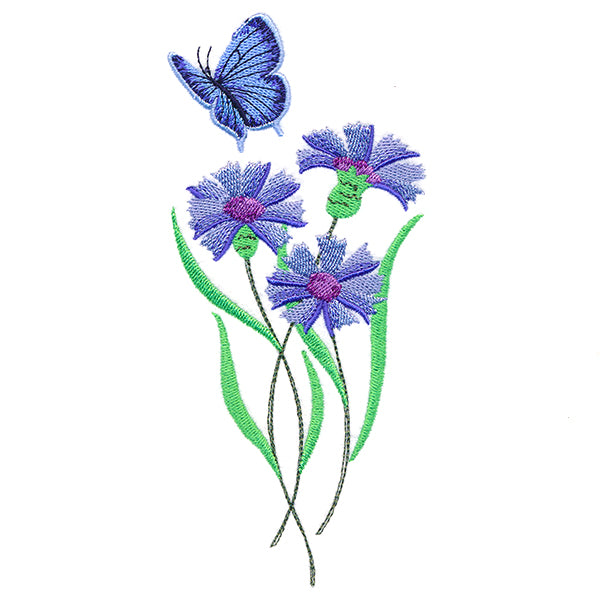 Delicate Eastern Tailed Blue Butterfly in Coneflowers