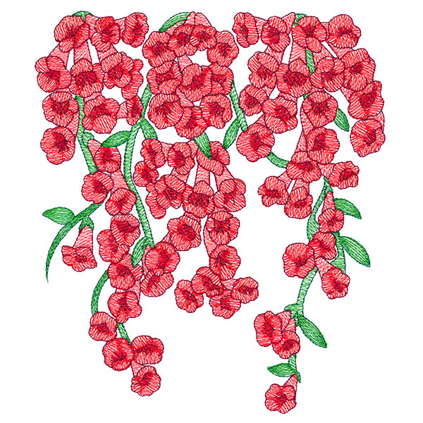 Trumpet Vine Flowers Feature