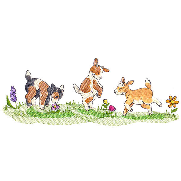 Frolicking Baby Goats