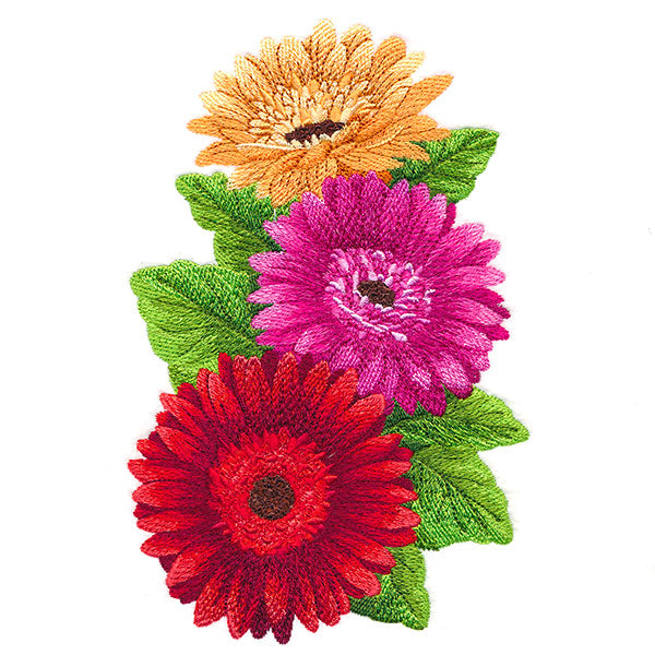 Glorious Gerbera Daisy Bouquet