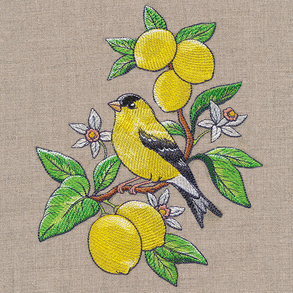 Glorious Goldfinch and Lemons