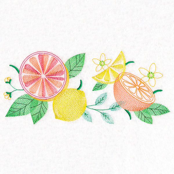 Citrus Splash Border