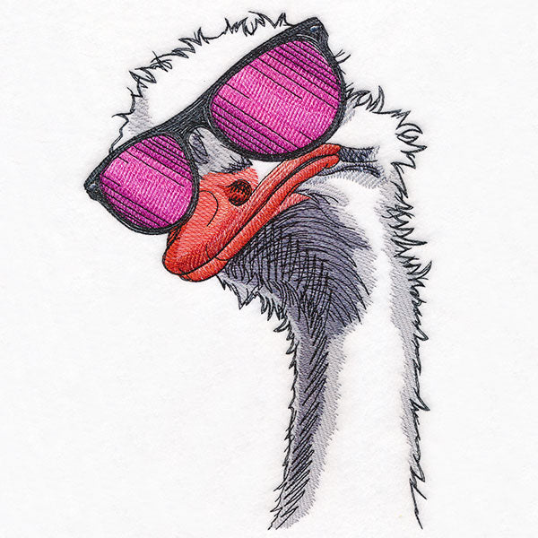 Sunshine and Sunglasses Ostrich