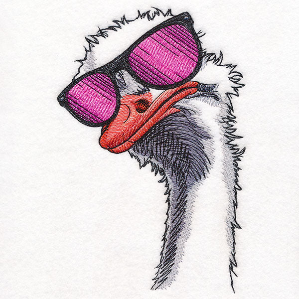 Sunshine and Sunglasses Ostrich