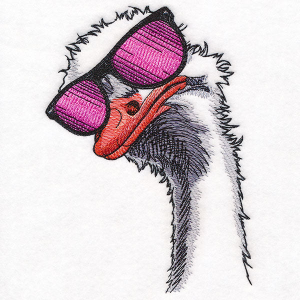 Sunshine and Sunglasses Ostrich