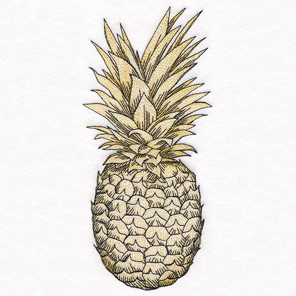 Glorious and Golden Pineapple Etching