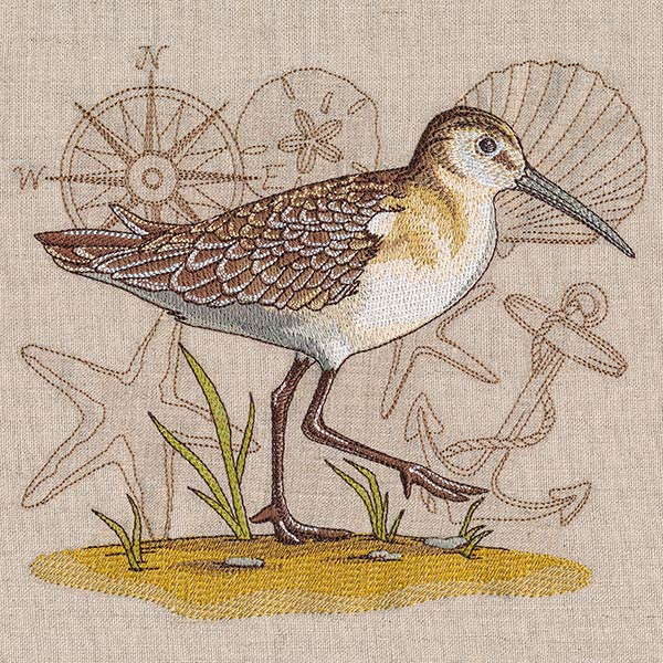 Seaside Sandpiper Medley