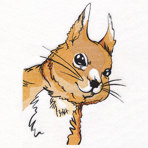 Peeking Red Squirrel