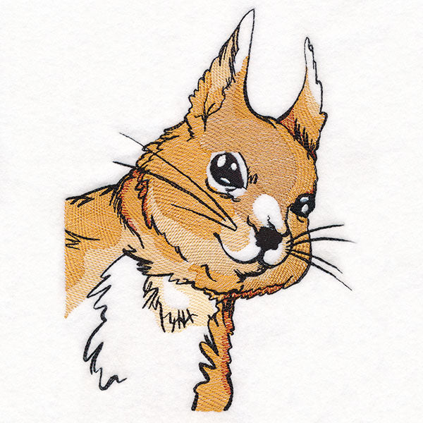 Peeking Red Squirrel