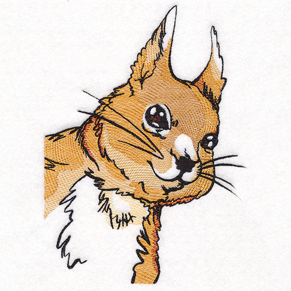 Peeking Red Squirrel