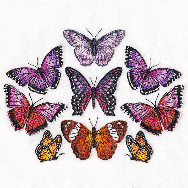 Butterflies of the Forest Kaleidoscope