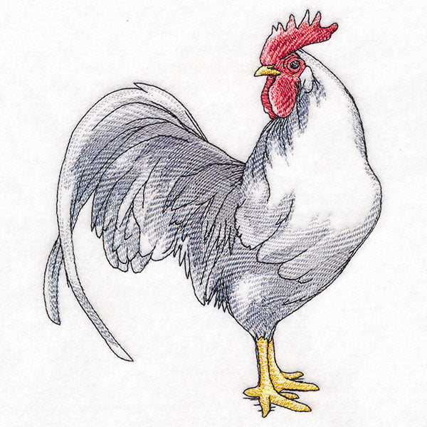 Plucky Country Chicken