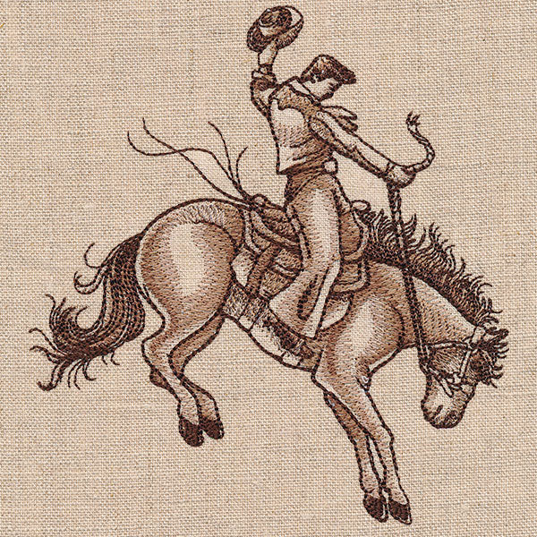 Bucking Bronco Rodeo King