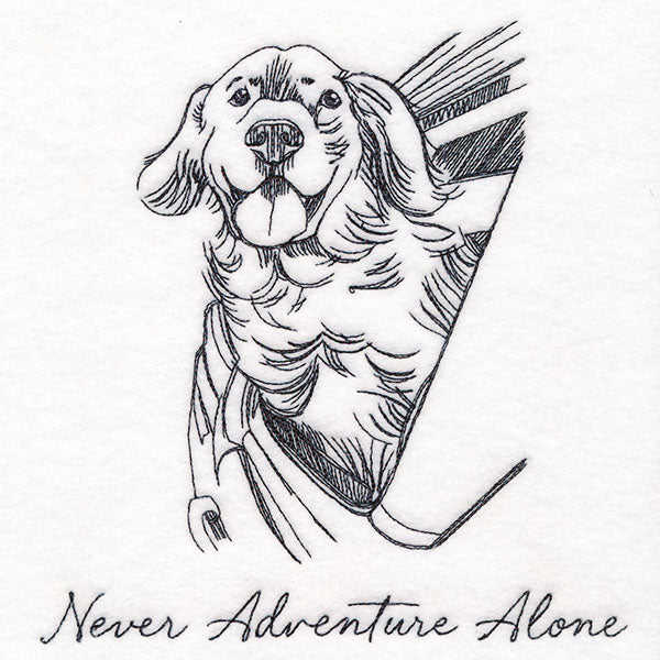 Never Adventure Alone Dog