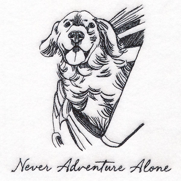 Never Adventure Alone Dog