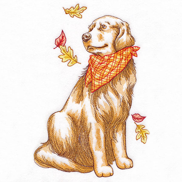 Fall Delights Golden Retriever