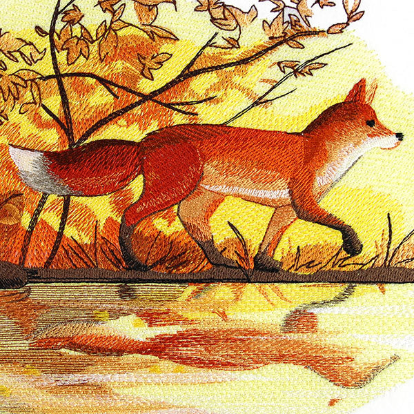 Fall Fox by Water