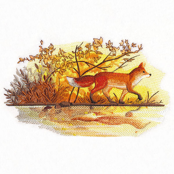 Fall Fox by Water