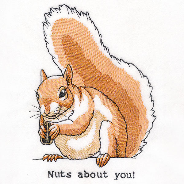 Nuts About You Squirrel