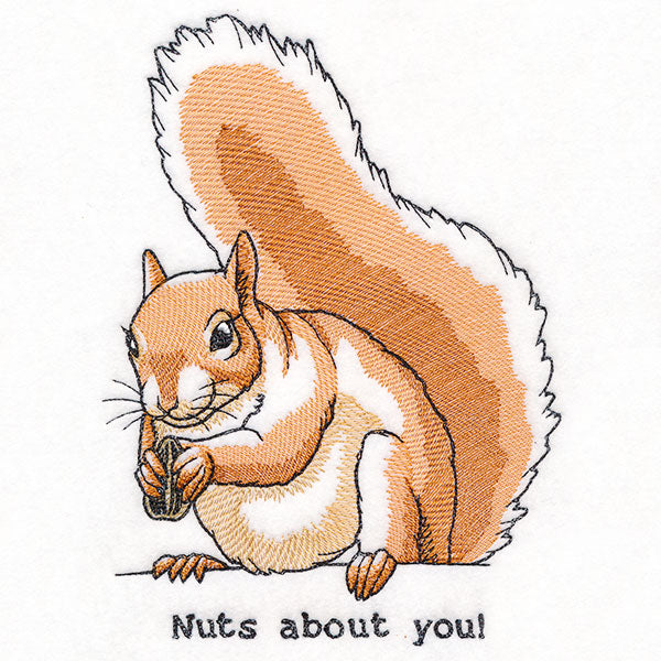 Nuts About You Squirrel
