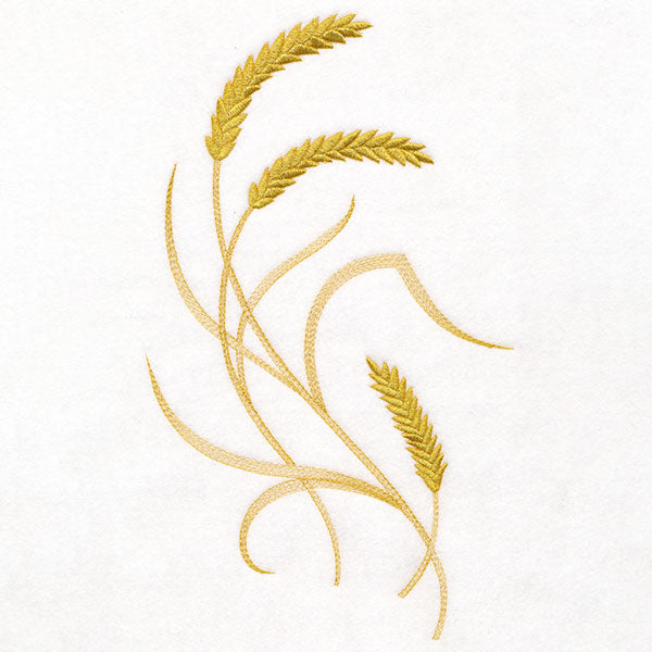 Delicate Wheat Feature