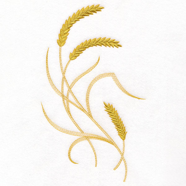 Delicate Wheat Feature