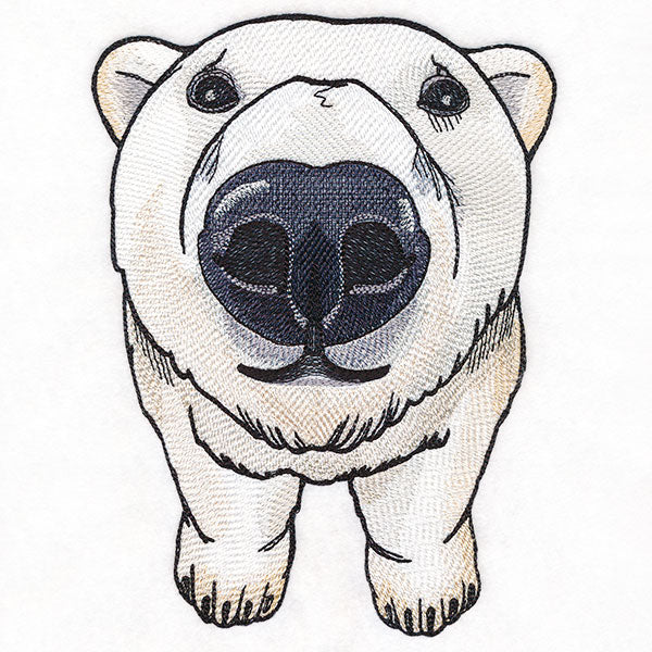 Nosey Polar Bear