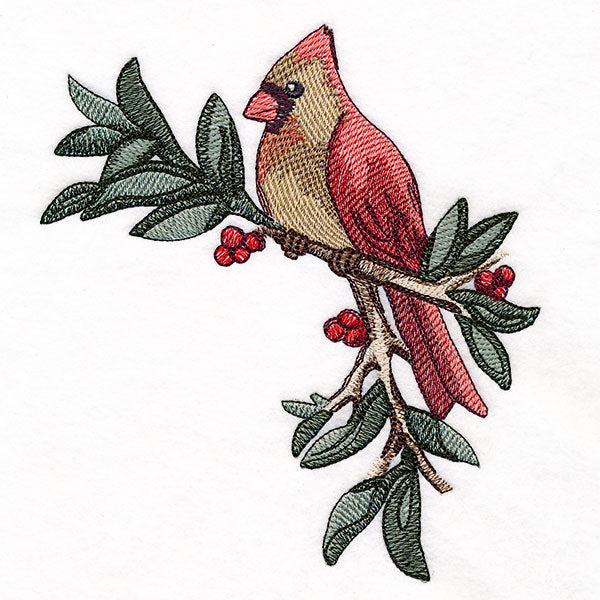 Cardinal at Christmas - Female