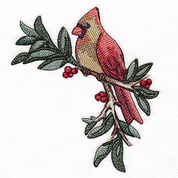Cardinal at Christmas - Female