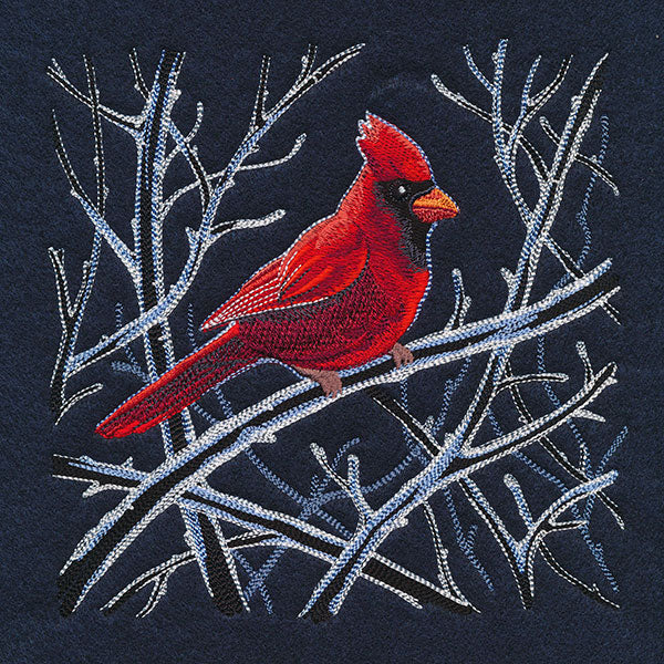 Cardinal in Winter Branches