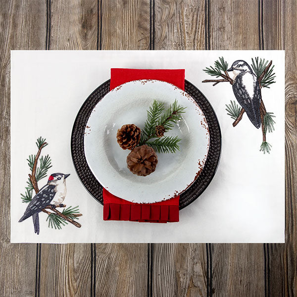 Downy Woodpecker on Branches Corner - Male