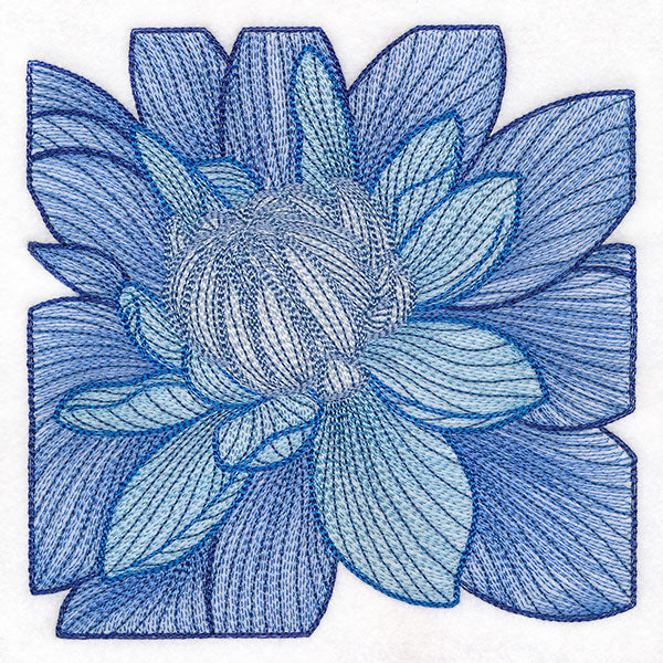 Creative Contour Macro Dahlia