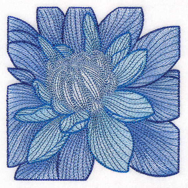 Creative Contour Macro Dahlia