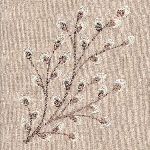 Time for Texture Pussywillow