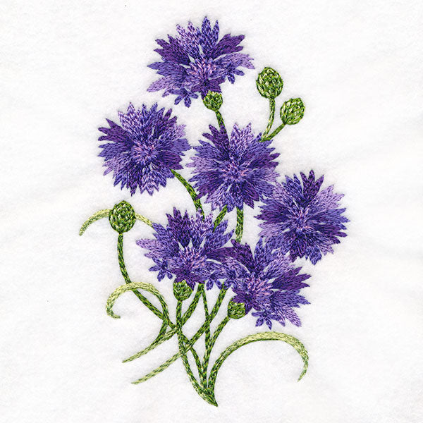 Textured Bachelor Button Feature