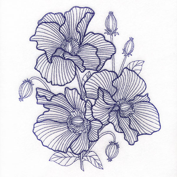 Dimension in Contour Poppy Bouquet