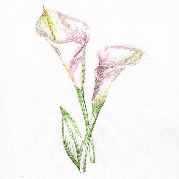 Contours of Beauty Calla Lily