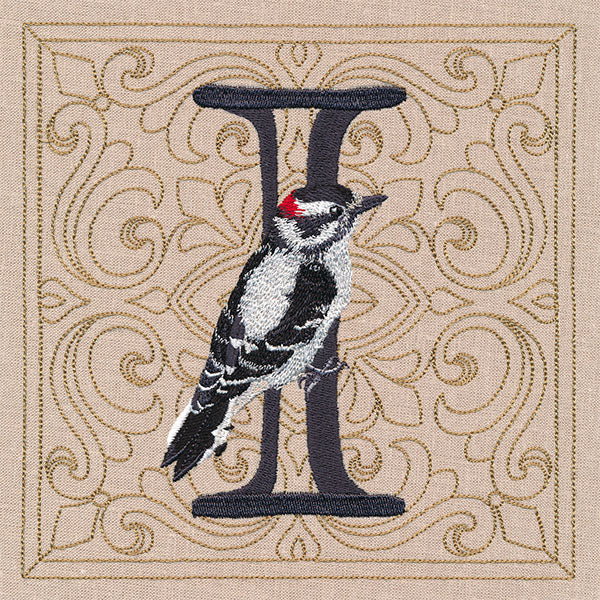 For the Love of Spring Birds Square - Letter I and Downy Woodpecker