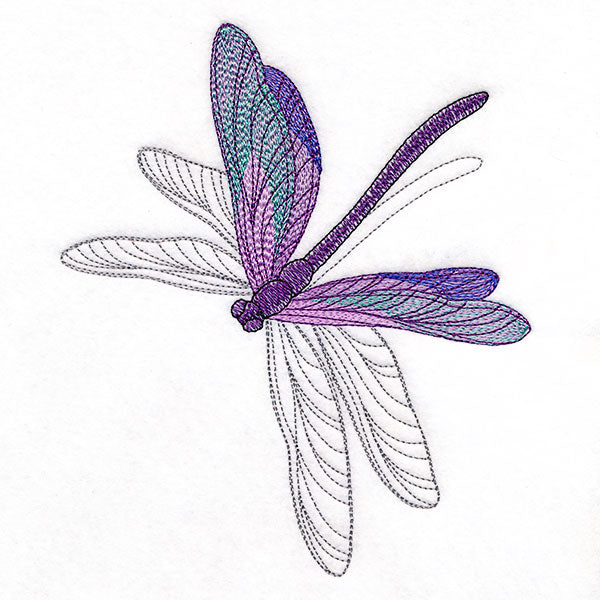 Delicate Shadows Dragonfly